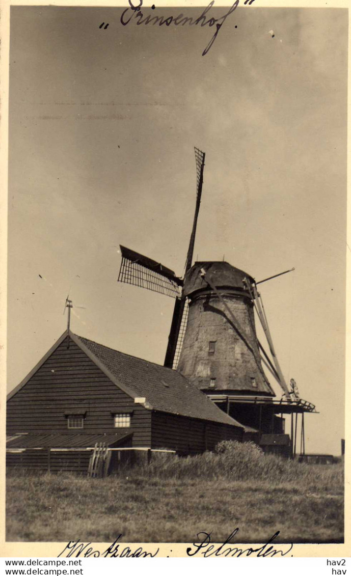 Westzaan Pelmolen Prinsenhof 5069 - Zaanstreek