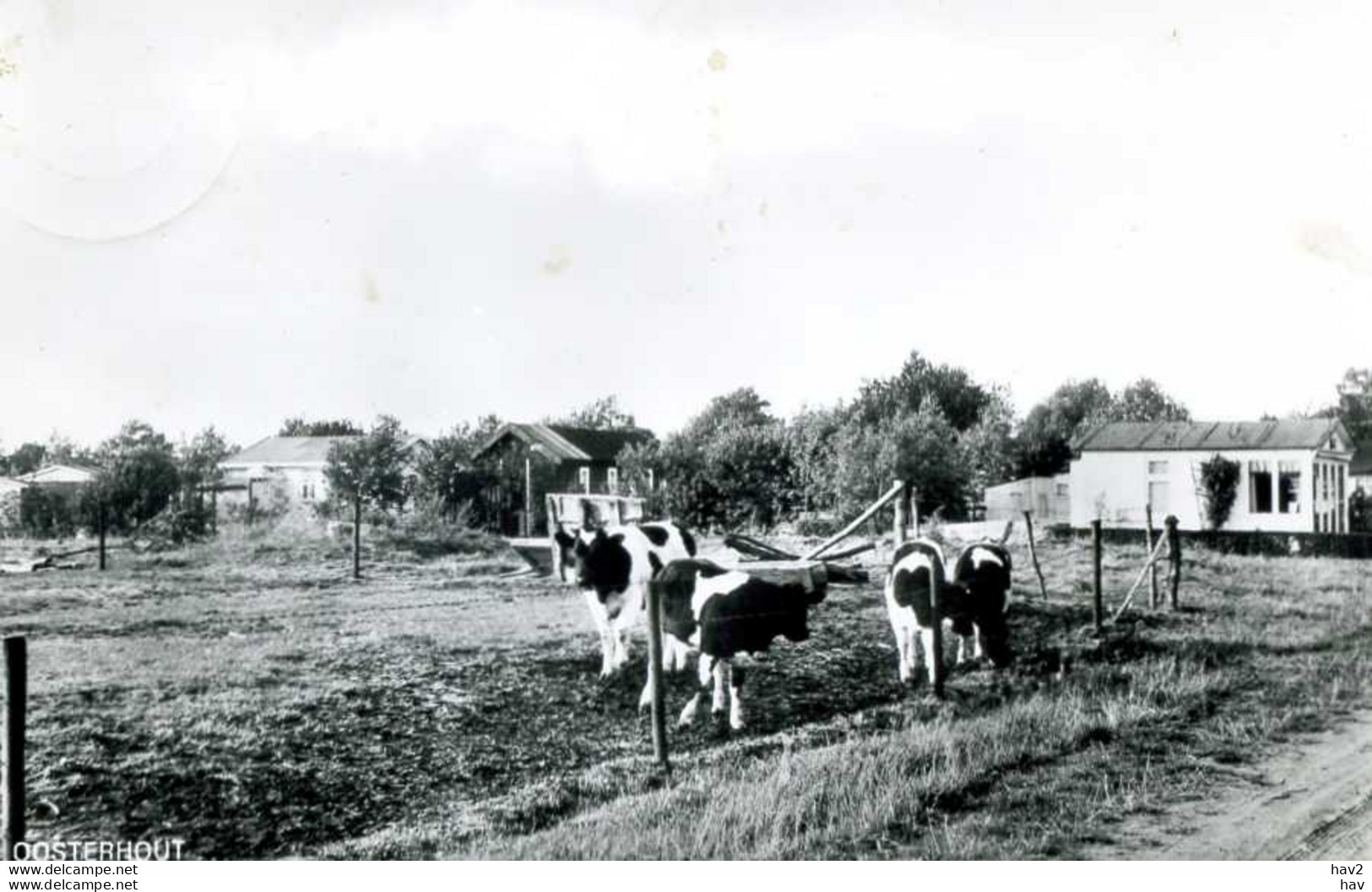 Oosterhout  Vakantieoord AM164 - Oosterhout