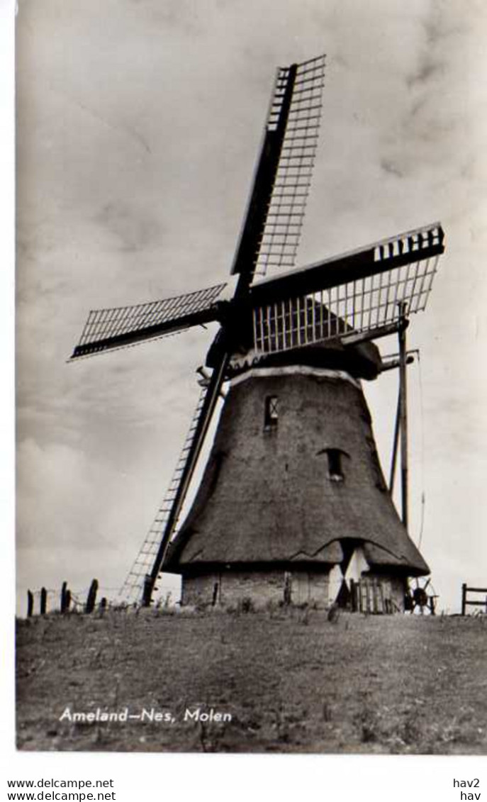 Ameland-Nes Molen 3736 - Ameland