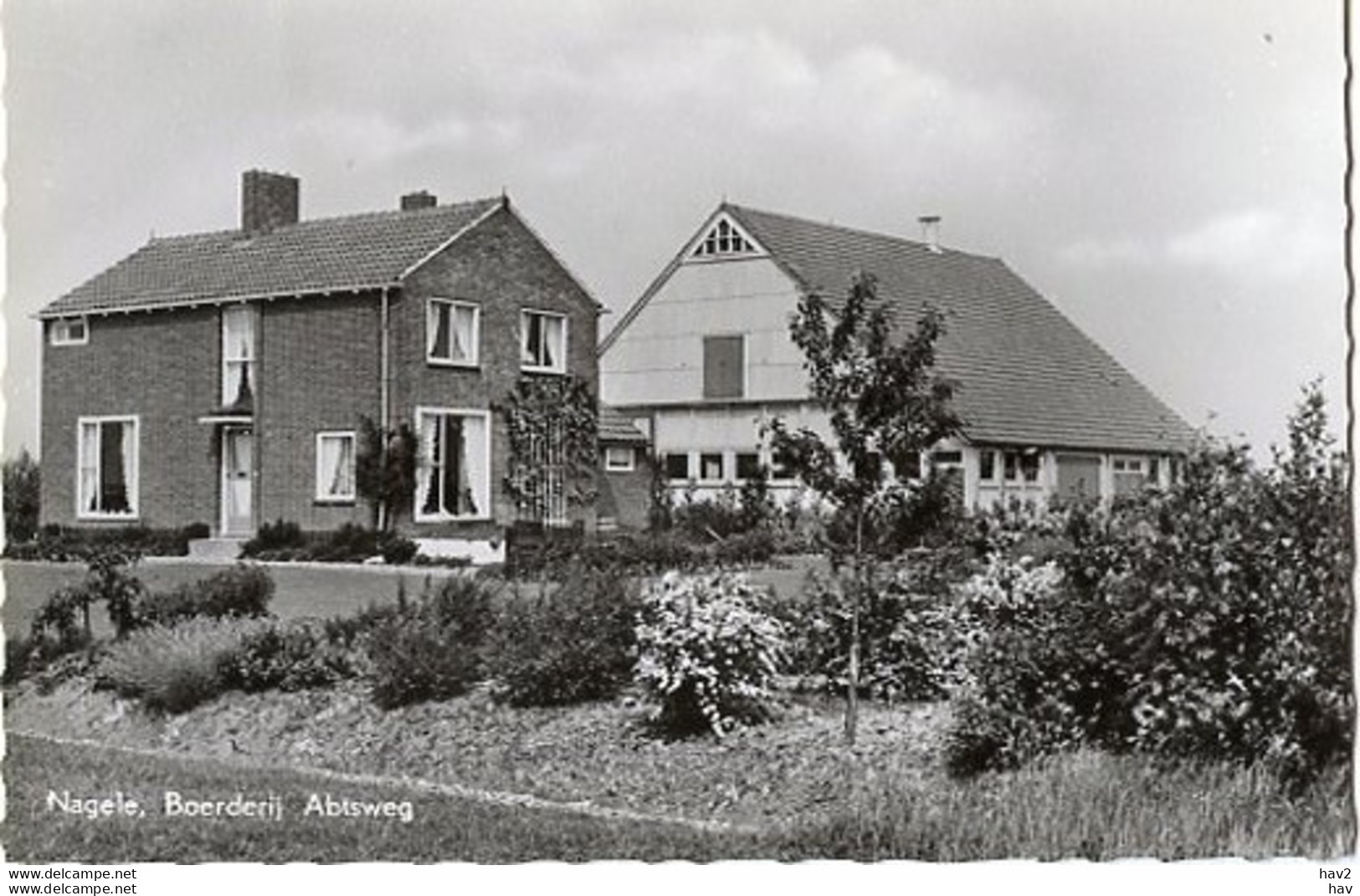 Nagele Abtsweg Boerderij AM3008 - Autres & Non Classés