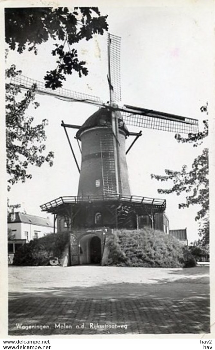 Wageningen Korenmolen Deeendracht Rijkstr.weg 2598 - Wageningen