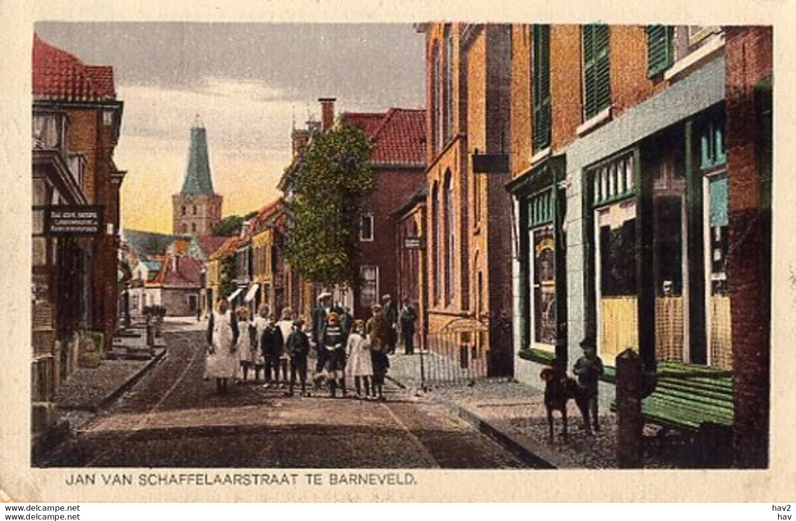 Barneveld Jan Van Schaffelaarstraat AM2905 - Barneveld