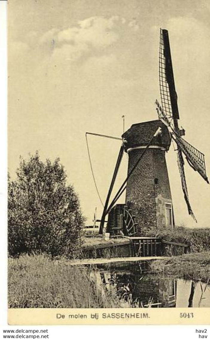 Sassenheim Molen 1173 - Sassenheim