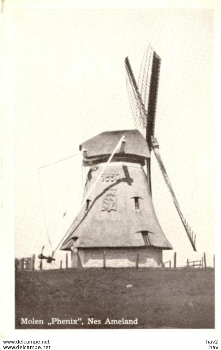 Nes (Ameland) Molen Phenix 2296 - Ameland