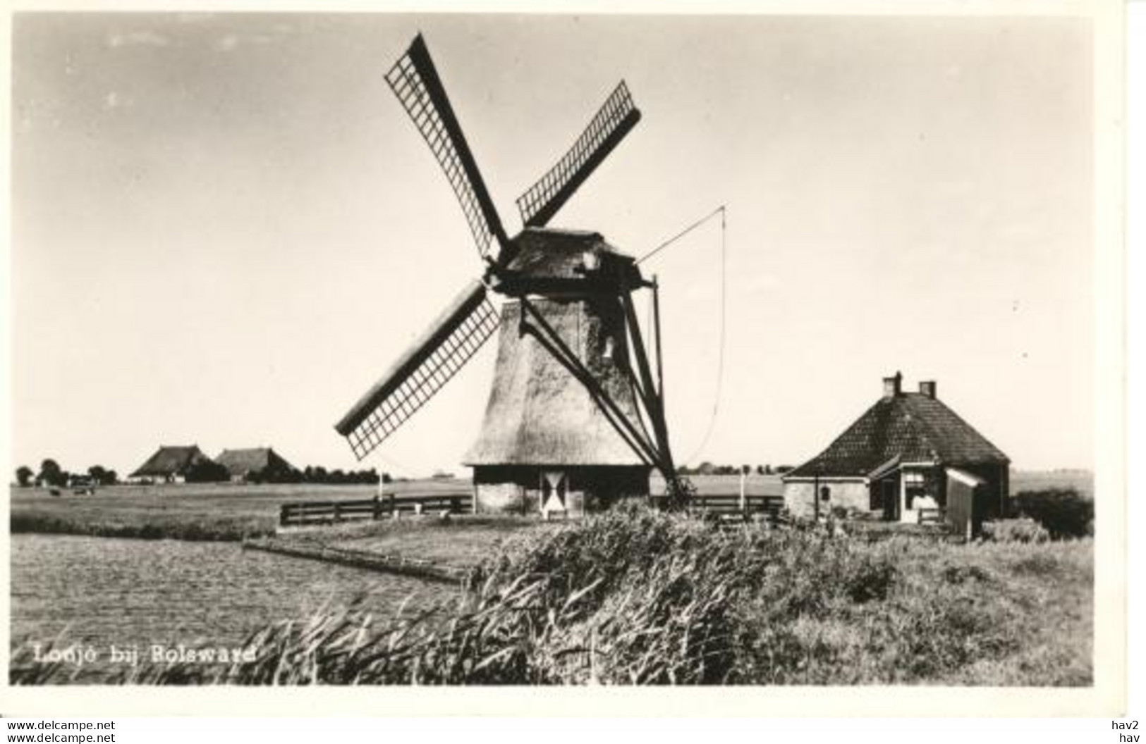 Bolsward Molen Lonjé 2582 - Bolsward