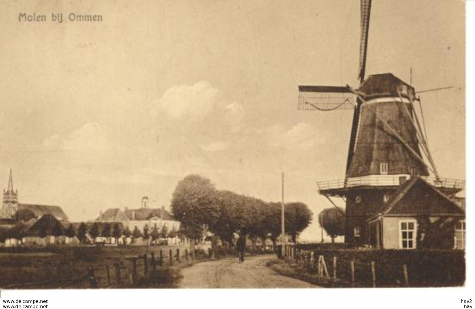 Ommen Panorama Met Molen 2531 - Ommen