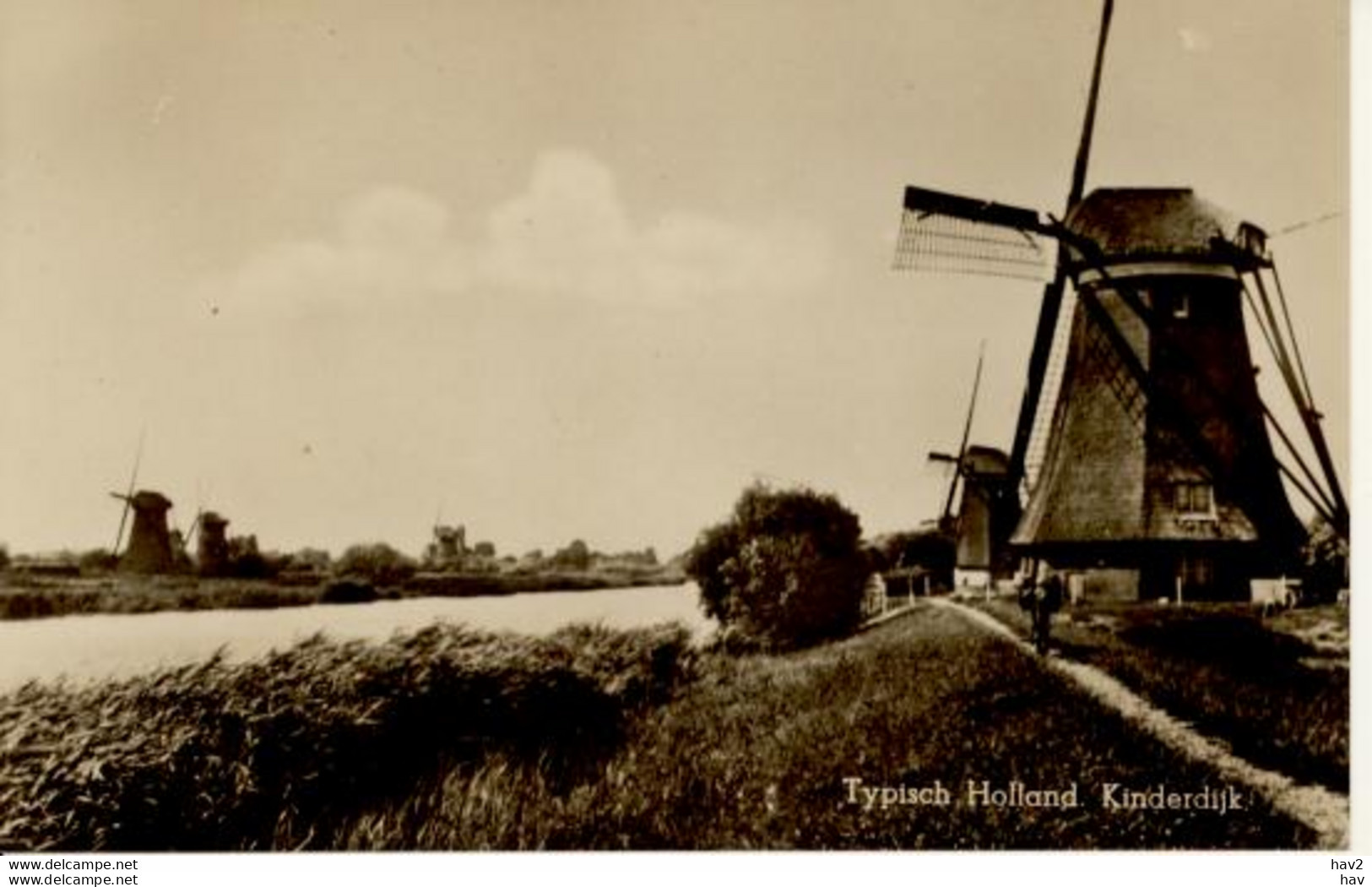 Kinderdijk Molens 2908 - Kinderdijk