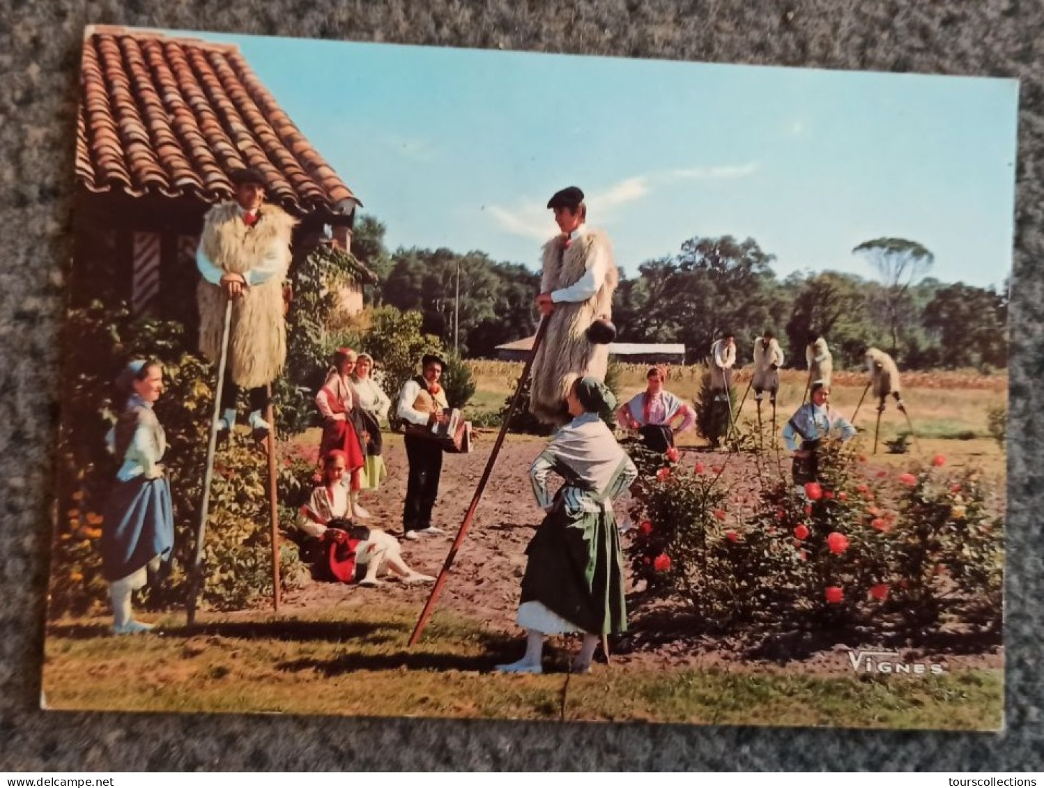 CPSM 40 @ LANDES - CASTETS - Groupe Folklorique Des BECUTS De COUNTIS Devant Une Ferme Landaise En 1972 - Castets