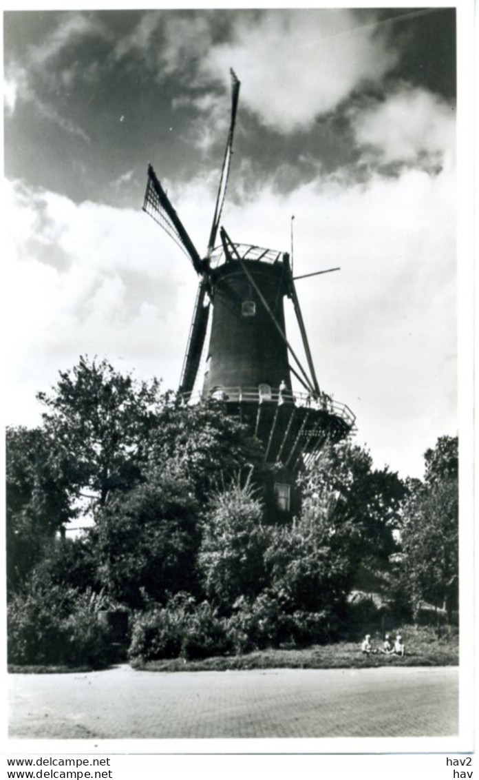 Woerden Molen De Windhond 3871 - Woerden