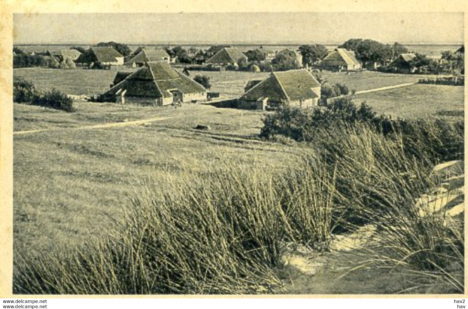 Terschelling Panorama AM768 - Terschelling