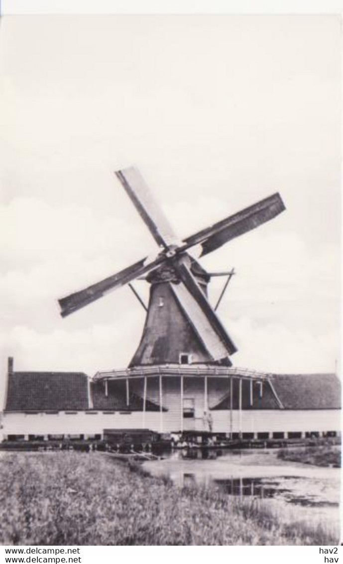 Koog A/d Zaan Molen De Elzenboom RY 9196 - Zaanstreek