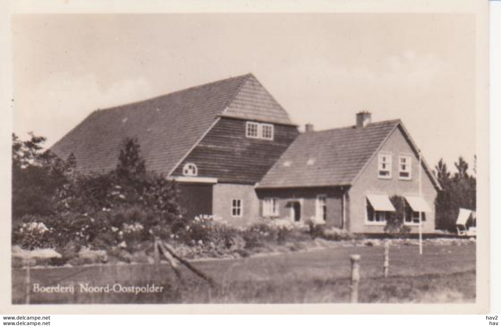 N.O.P. Noordoostpolder Boerderij 1950 RY 9263 - Autres & Non Classés