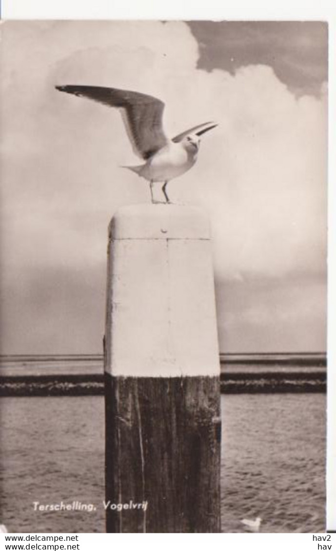 Terschelling Vogel Op Strandpaal RY 9618 - Terschelling