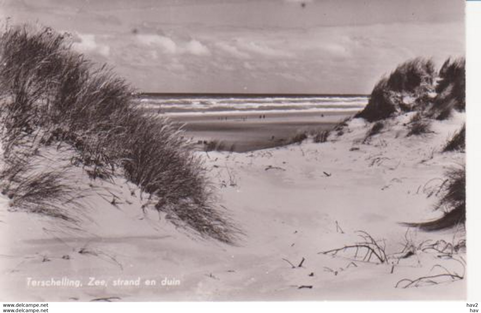 Terschelling Zee, Strand En Duin RY 9617 - Terschelling