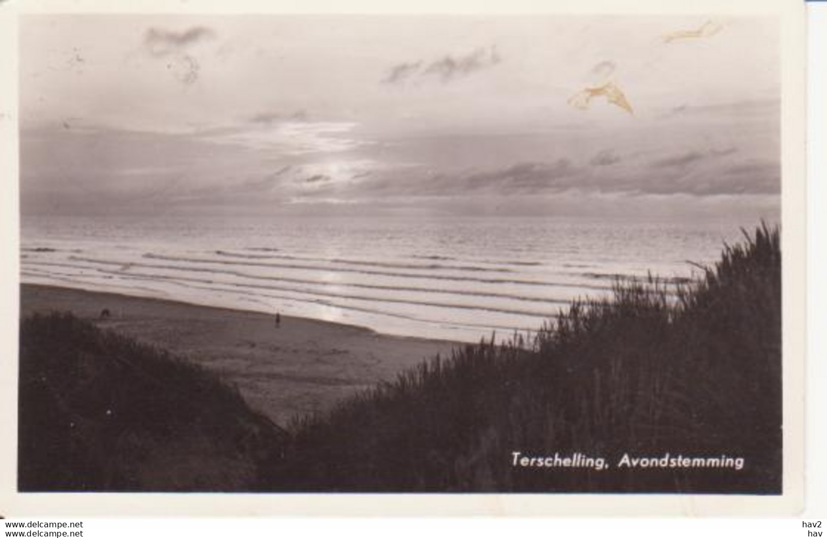 Terschelling Avondstemming RY 9649 - Terschelling