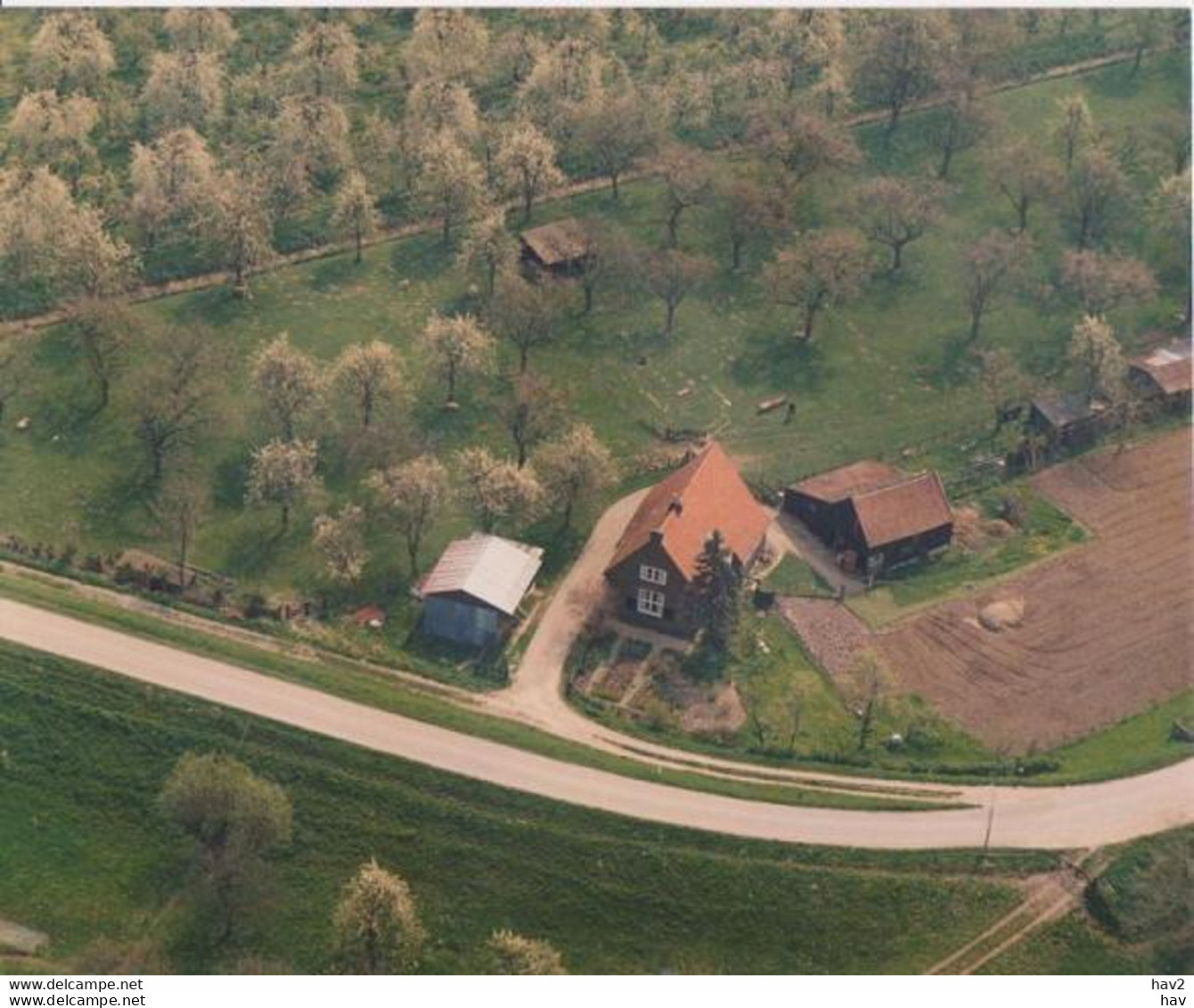 Culemborg Beusichemsedijk Luchtfoto 1975 RYL 1031 - Culemborg