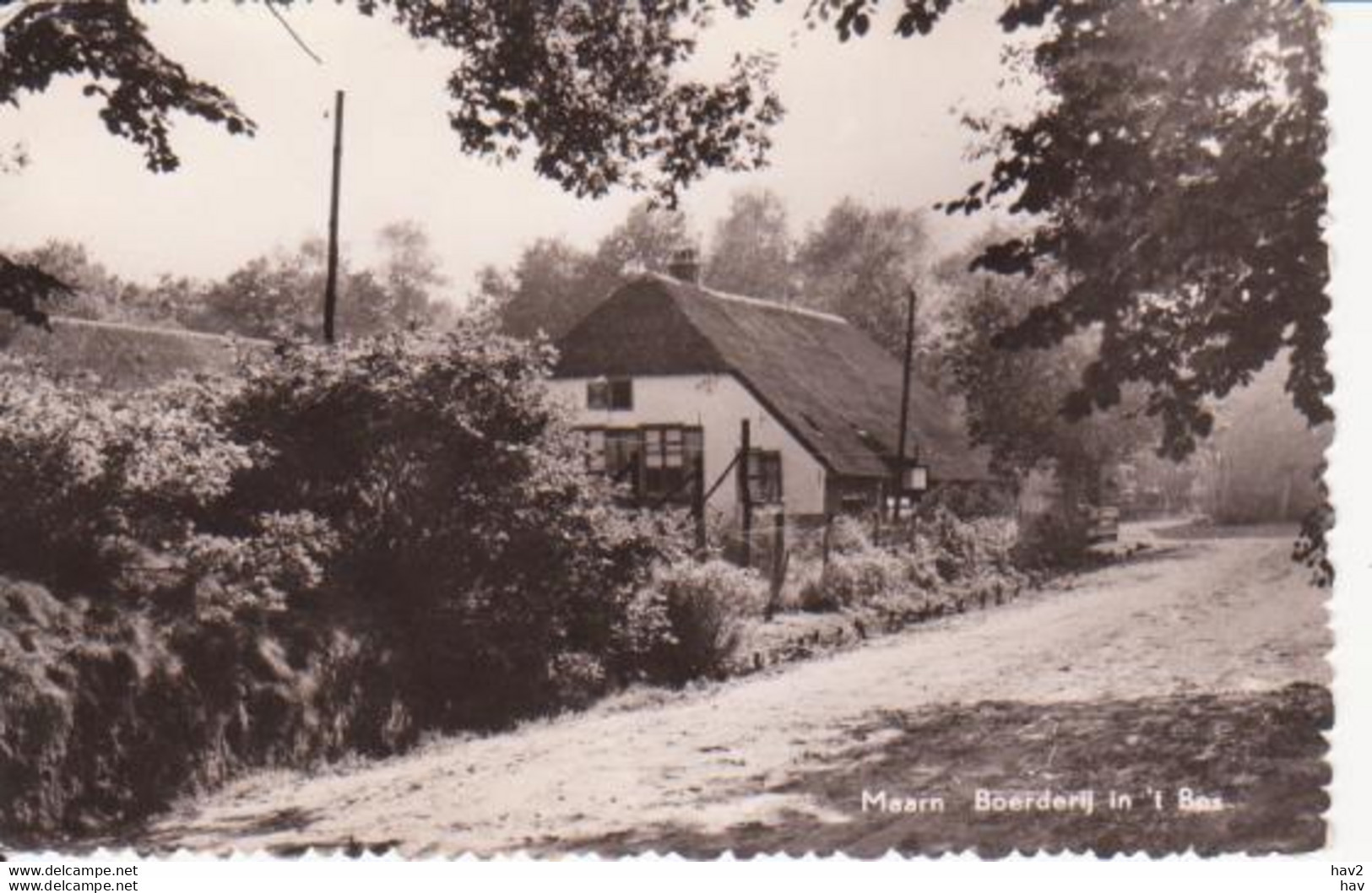 Maarn Boerderij In Het Bos RY 7782 - Maarn