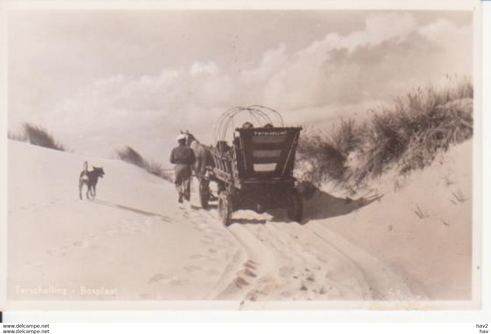 Terschelling Bosplaat Paard En Wagen RY 6886 - Terschelling