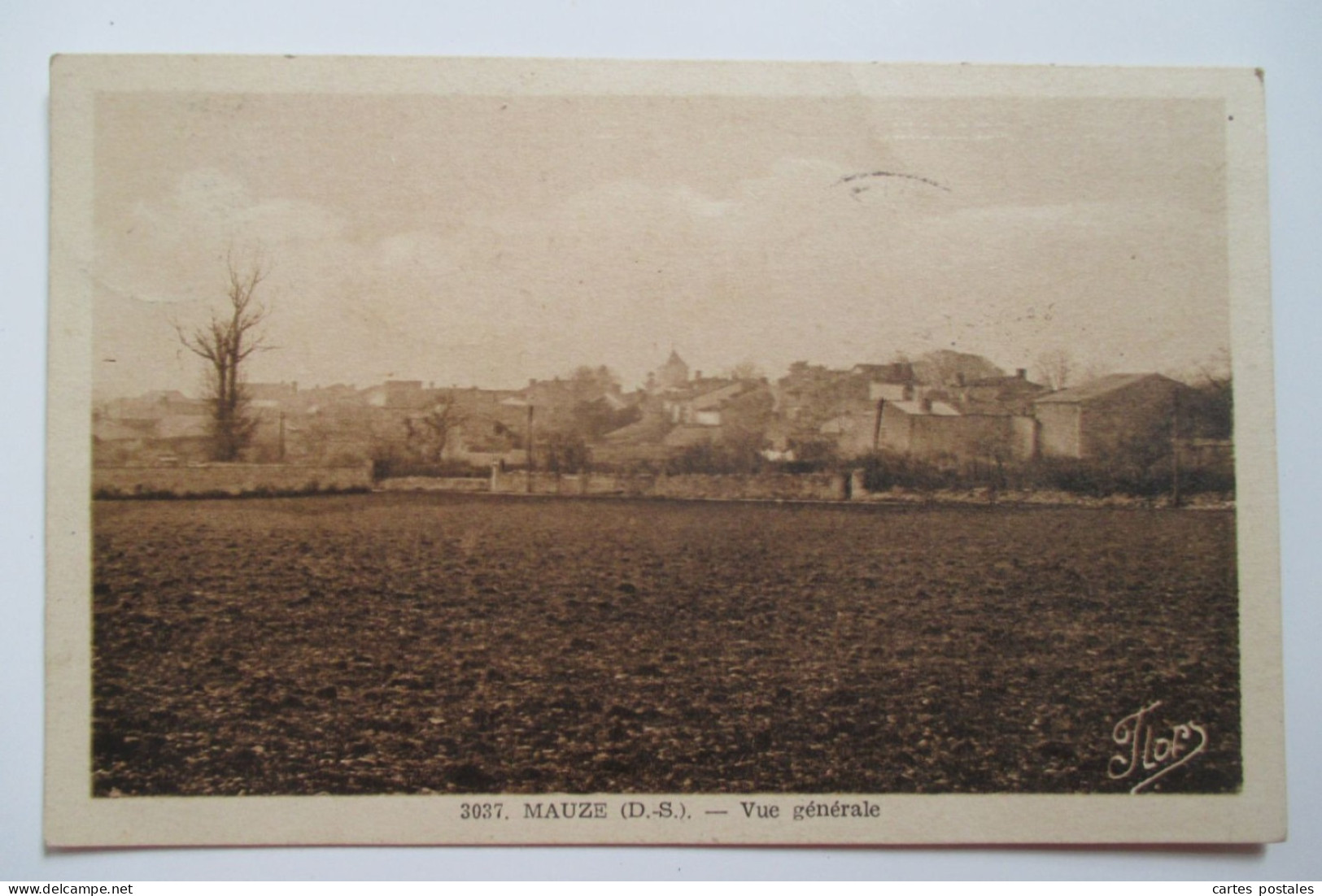 MAUZE Vue Générale - Mauze Sur Le Mignon