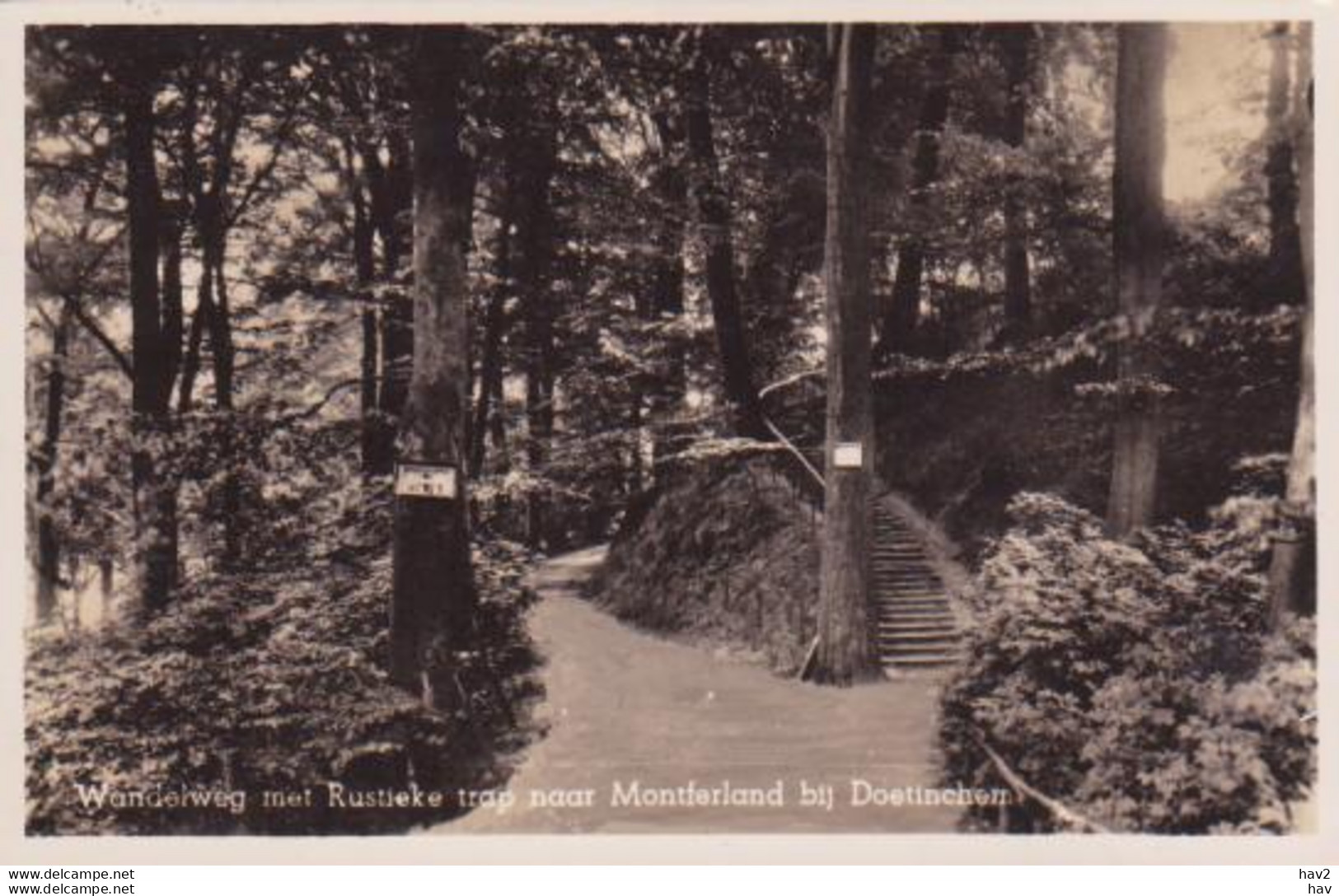 Doetinchem Wandelweg Naar Montferland RY 4659 - Doetinchem