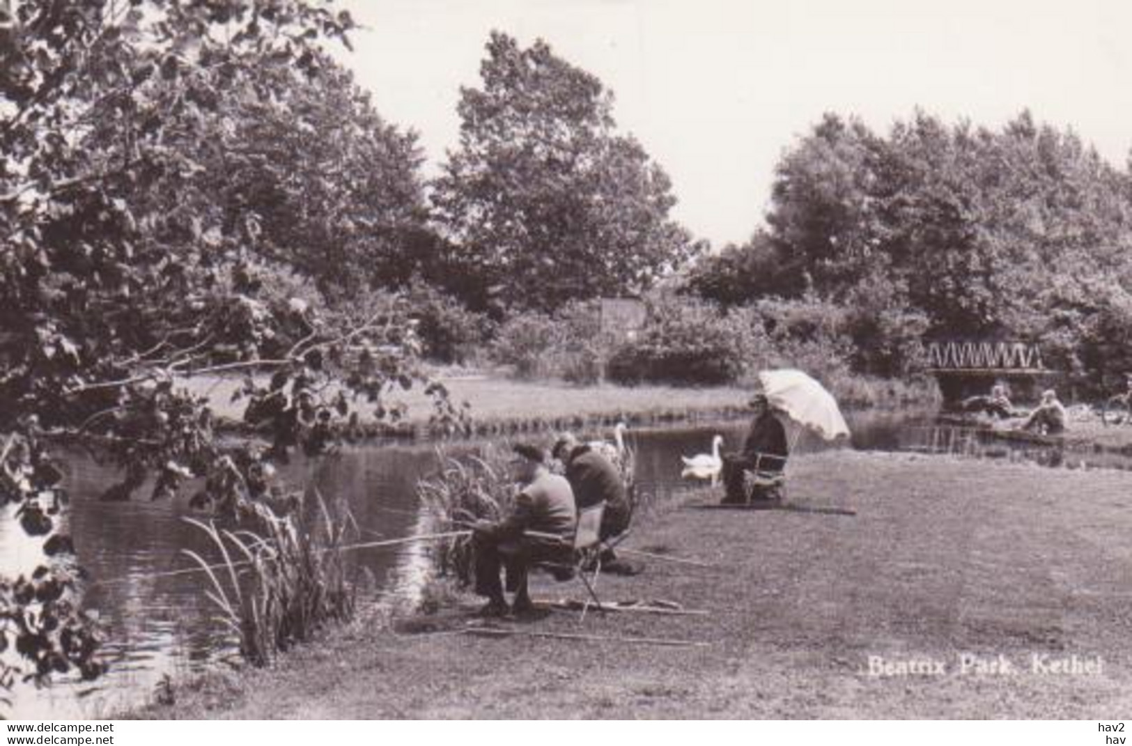 Schiedam Kethel Beatrix Park RY 3486 - Schiedam