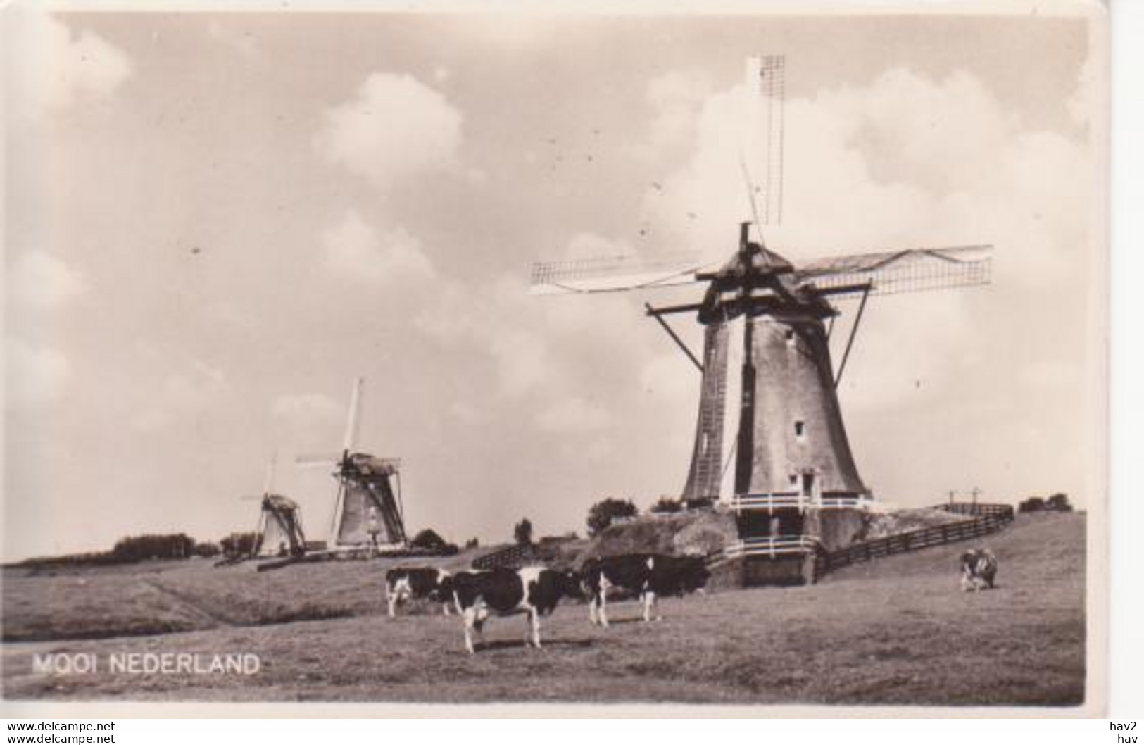 Leidschendam Molen  RY 3813 - Leidschendam