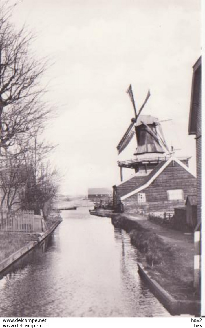 Westzaan Mosterdmolen De Veldbloem RY 4246 - Zaanstreek