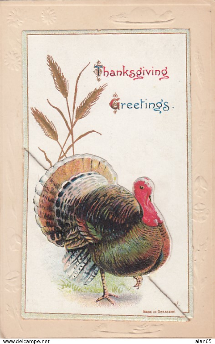 Thanksgiving Greetings, Turkey On Fold-out Image, Fruit (Pineapple Watermelon Grapes) Inside, C1900s Vintage Postcard - Giorno Del Ringraziamento
