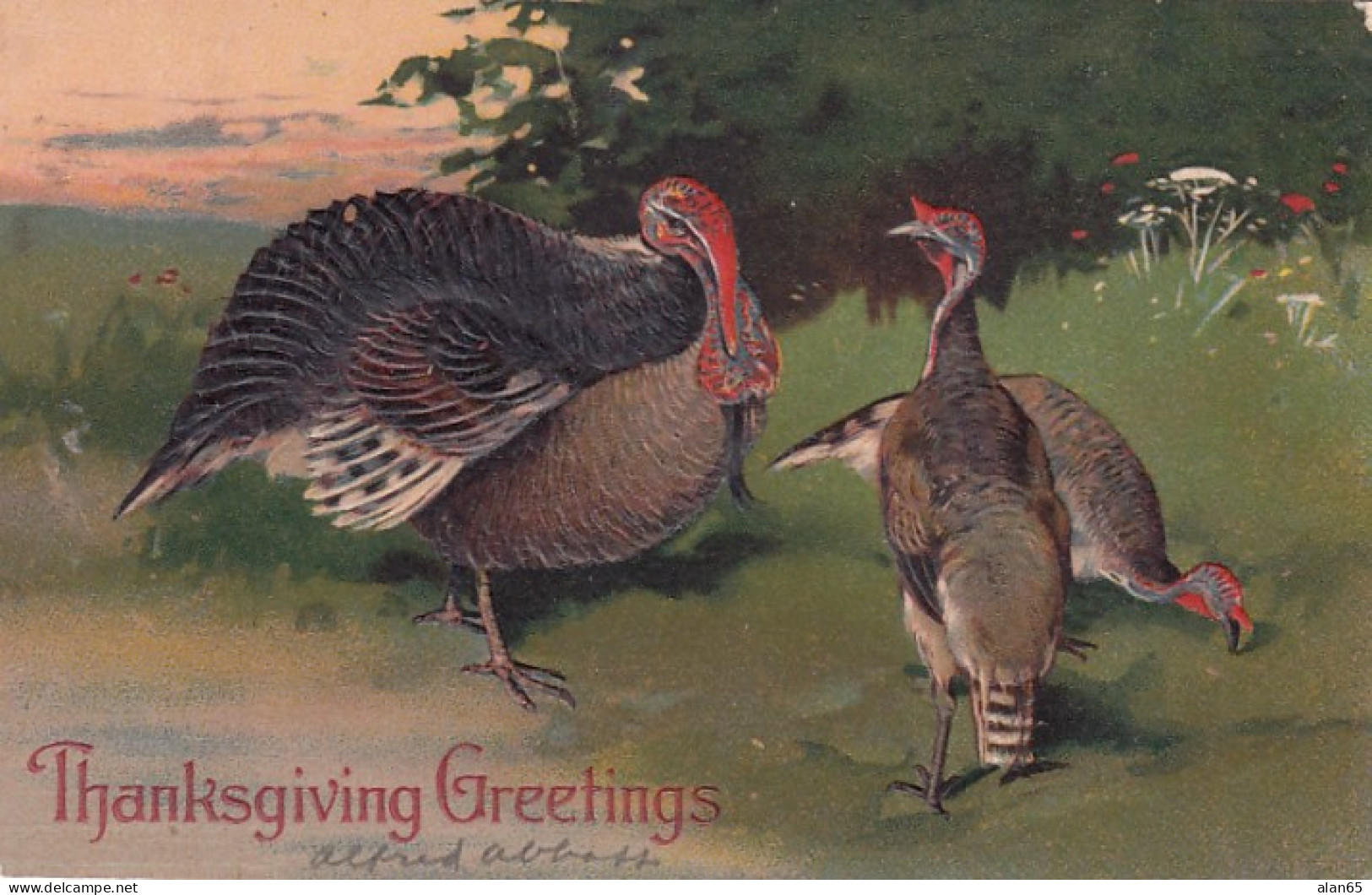 PFB #8409 Thanksgiving Greetings, Turkeys In The Wild, C1900s Vintage Embossed Postcard - Giorno Del Ringraziamento