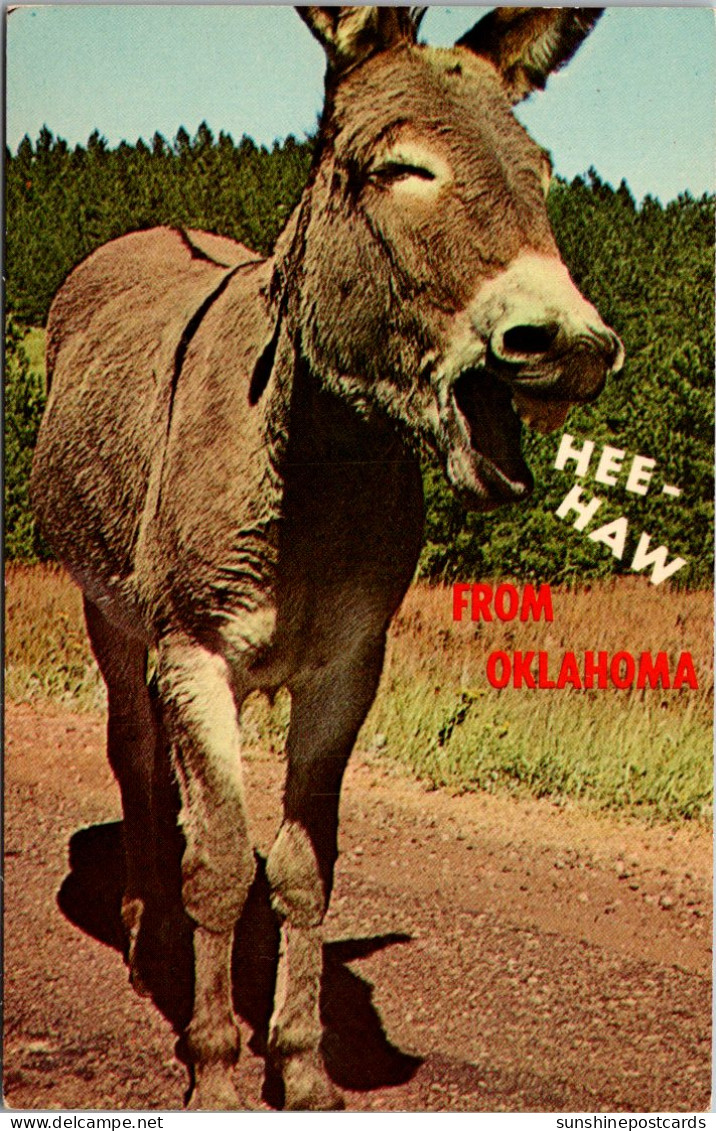 Oklahoma Donkey Hee Haw From Oklahoma - Altri & Non Classificati