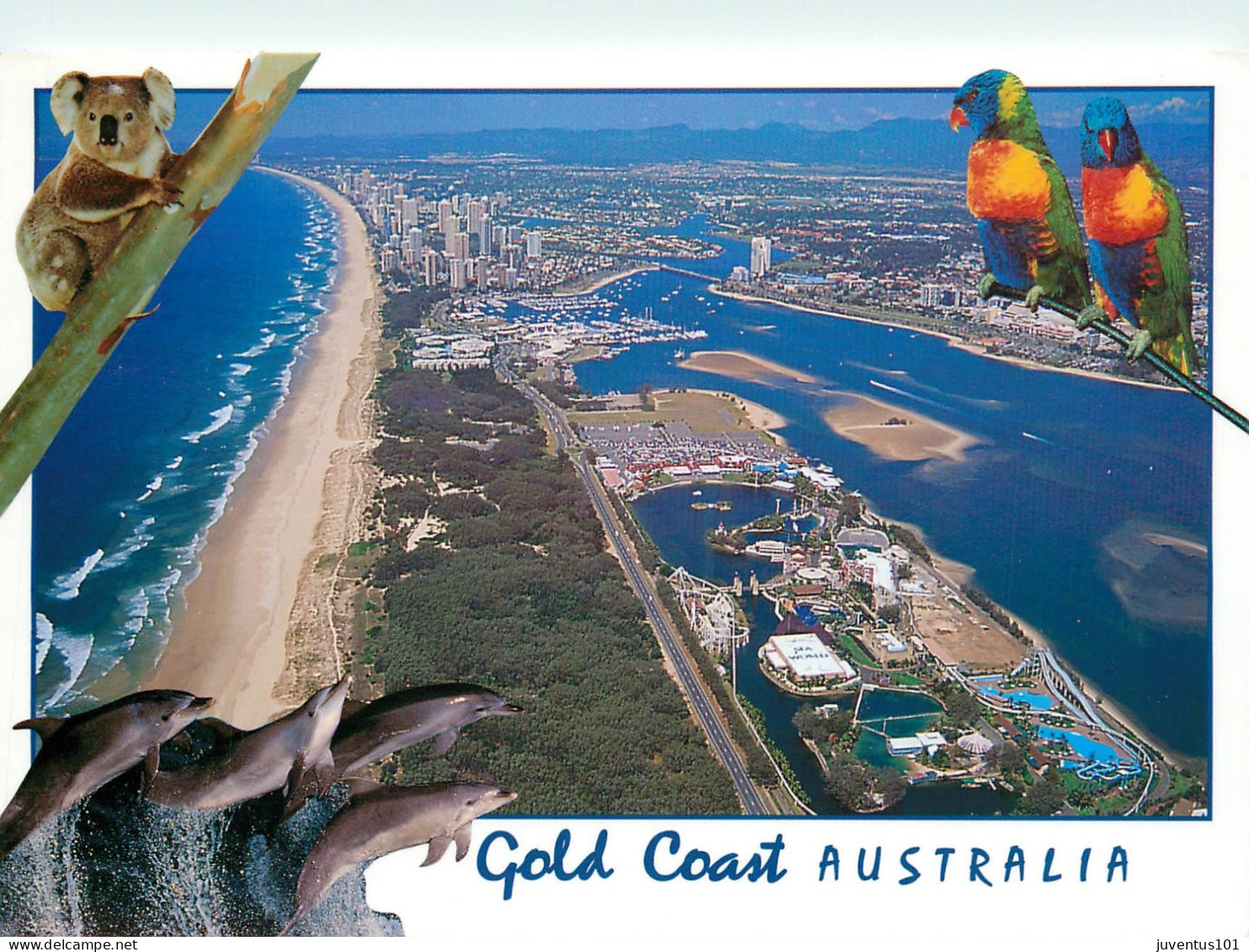 CPSM Gold Coast-Beau Timbre    L2323 - Gold Coast