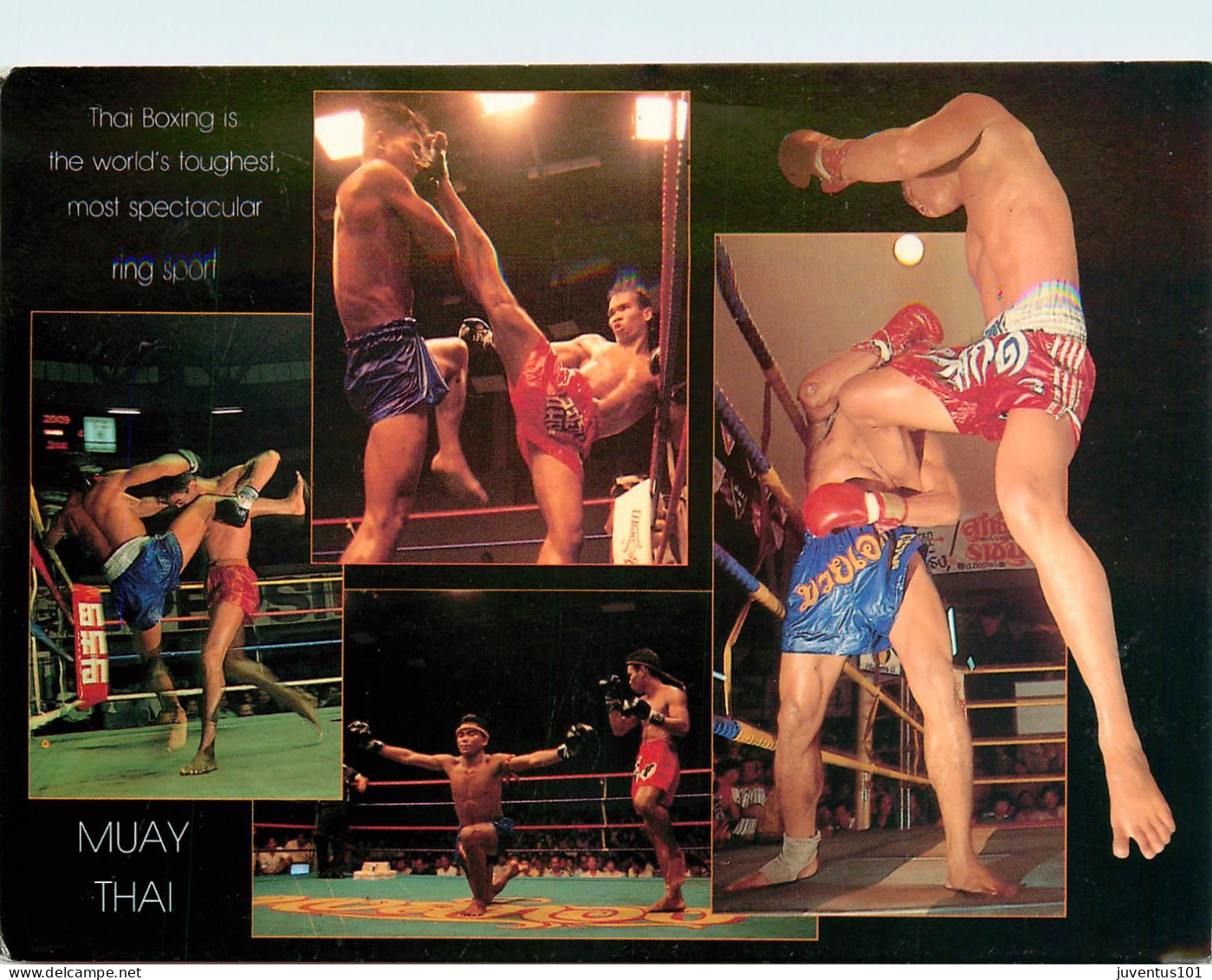 CPSM Thaïland-Thai Boxing-Muay Thai-Beau Timbre    L2323 - Thaïlande