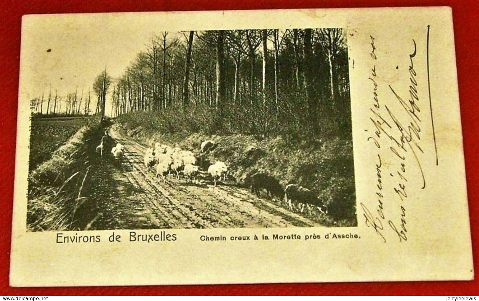 ASSE  - ASSCHE  -  Chemin Creux à La Morette  Près D' Assche   -  1904   - - Asse