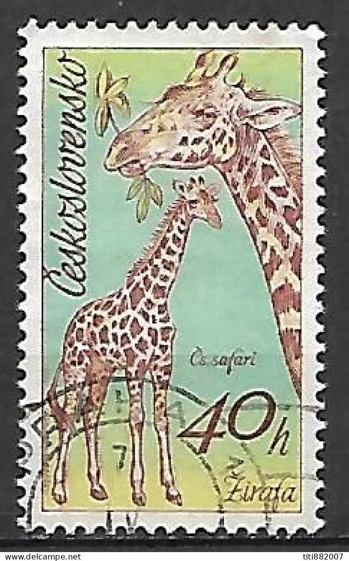 TCHECOSLOVAQUIE    -     GIRAFES   -    Oblitéré - Giraffes