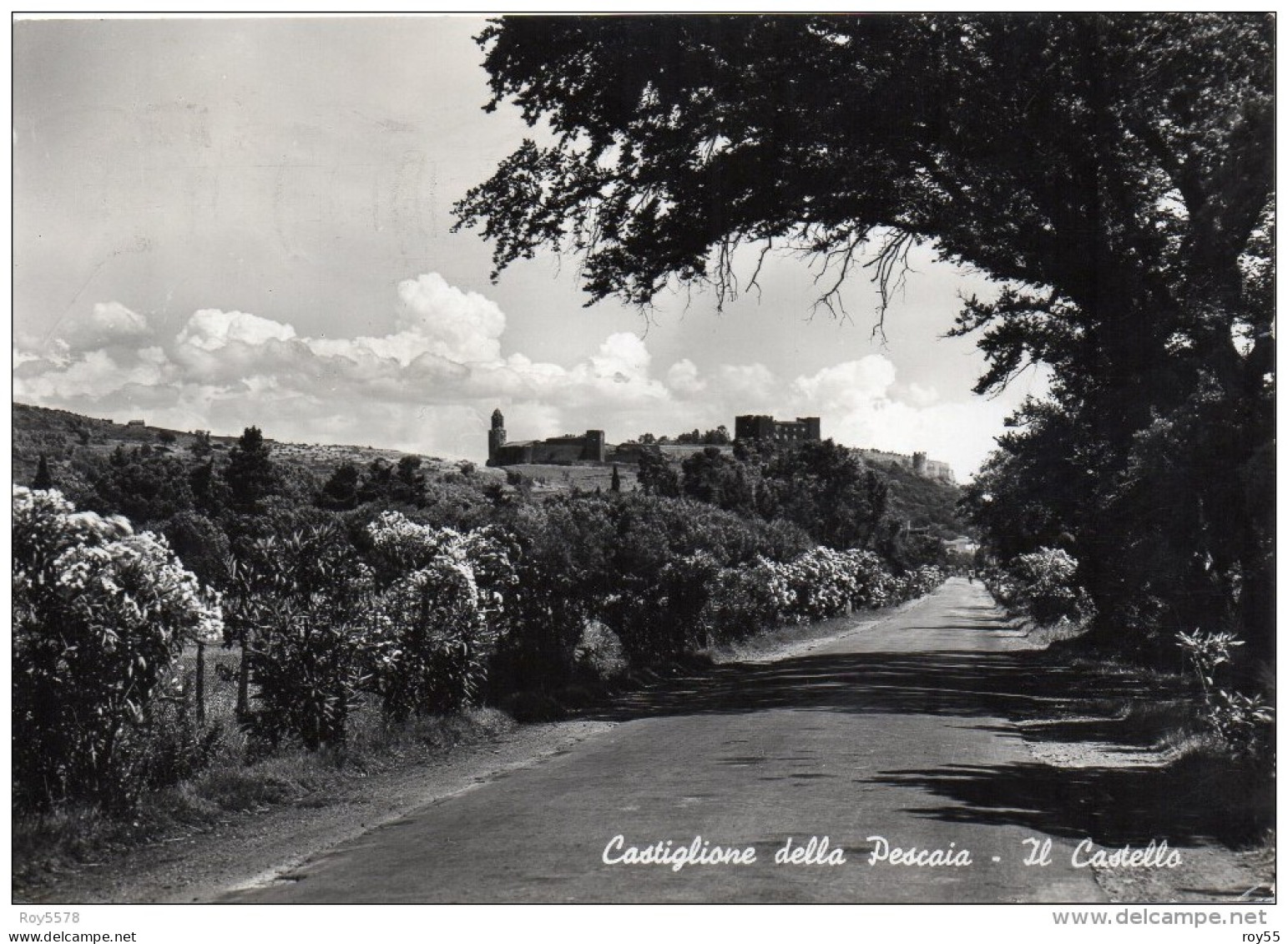 Toscana-grosseto-castiglione Della Pescaia Il Castello Veduta In Lontananza Anni 50 - Autres & Non Classés