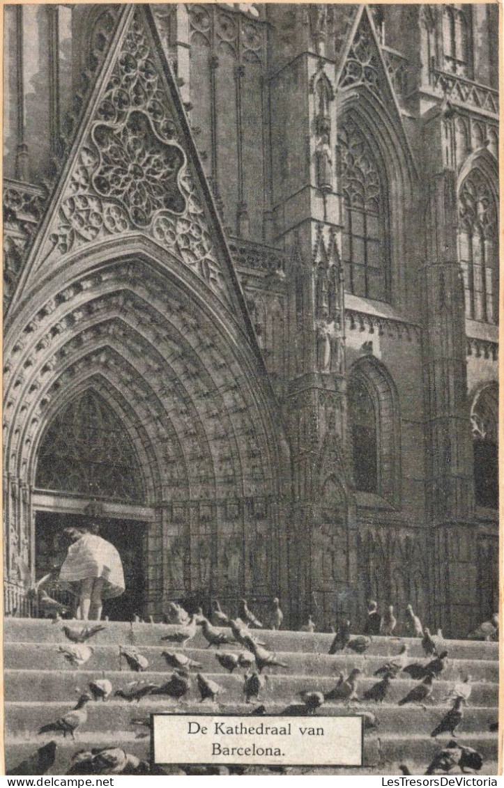 ESPAGNE - De Kathedraal Van Barcelona - Pigeons Sur Les Marches - Carte Postale Ancienne - Barcelona