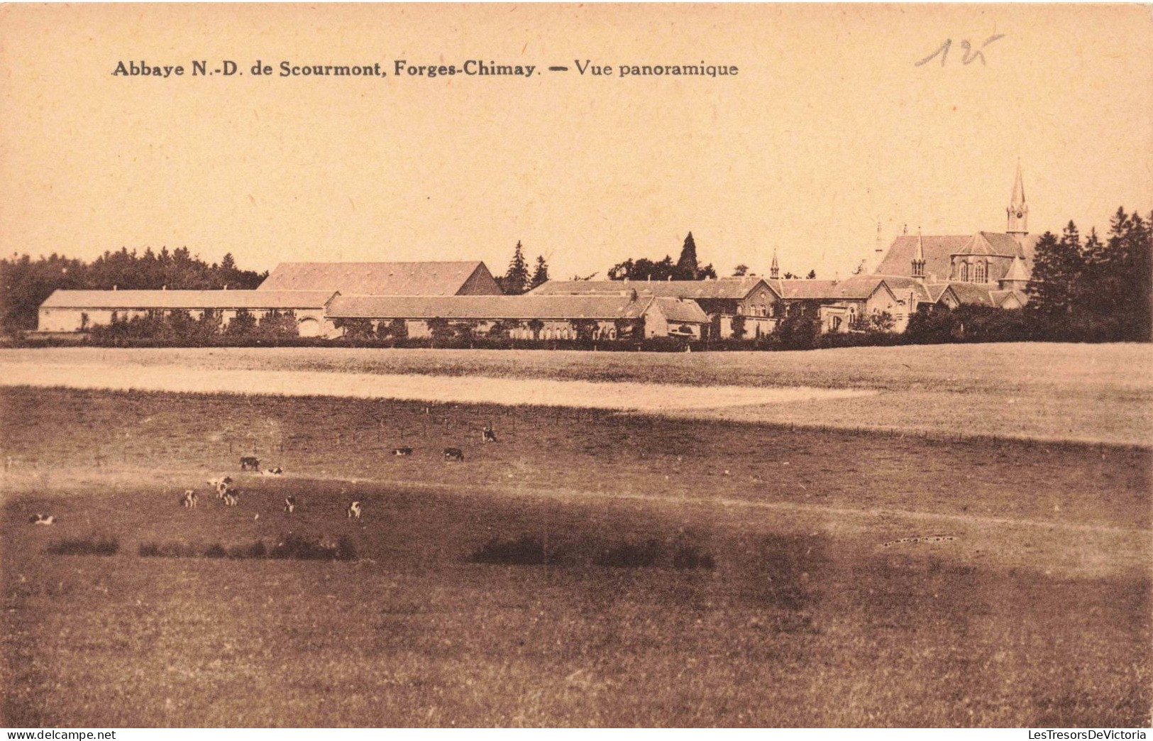 BELGIQUE - Abbaye ND De Scourmont - Forges Chimay - Vue Panoramique  - Carte Postale Ancienne - Sonstige & Ohne Zuordnung