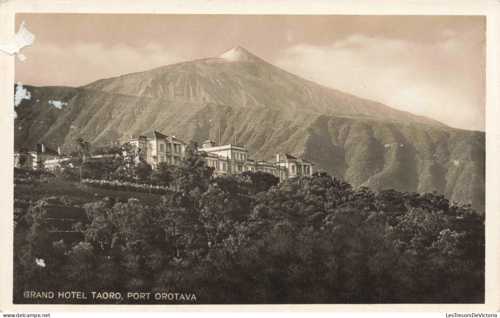 ESPAGNE - Tenerife - Port Orotava - Grand Hotel Taoro -  Carte Postale Ancienne - Tenerife