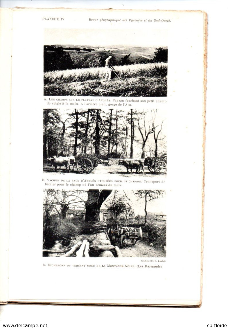 LIVRE . " REVUE GÉOGRAPHIQUE DES PYRÉNÉES ET DU SUD OUEST " . VALLÉE DU THORÉ . LES BARTHES DE L'ADOUR - Réf. N°231L - - Unclassified