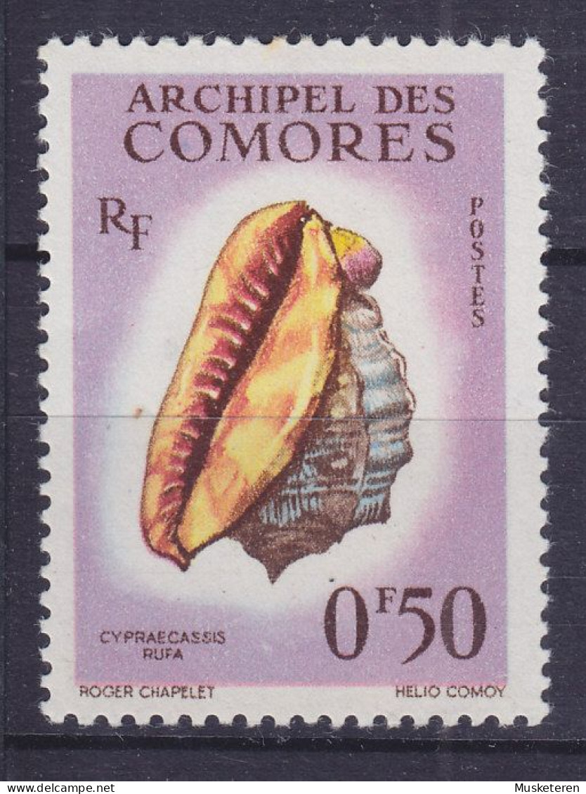 French Comores Islands 1962 Mi. 42, Meeresschnecke Sea Shell, MH* - Sonstige & Ohne Zuordnung