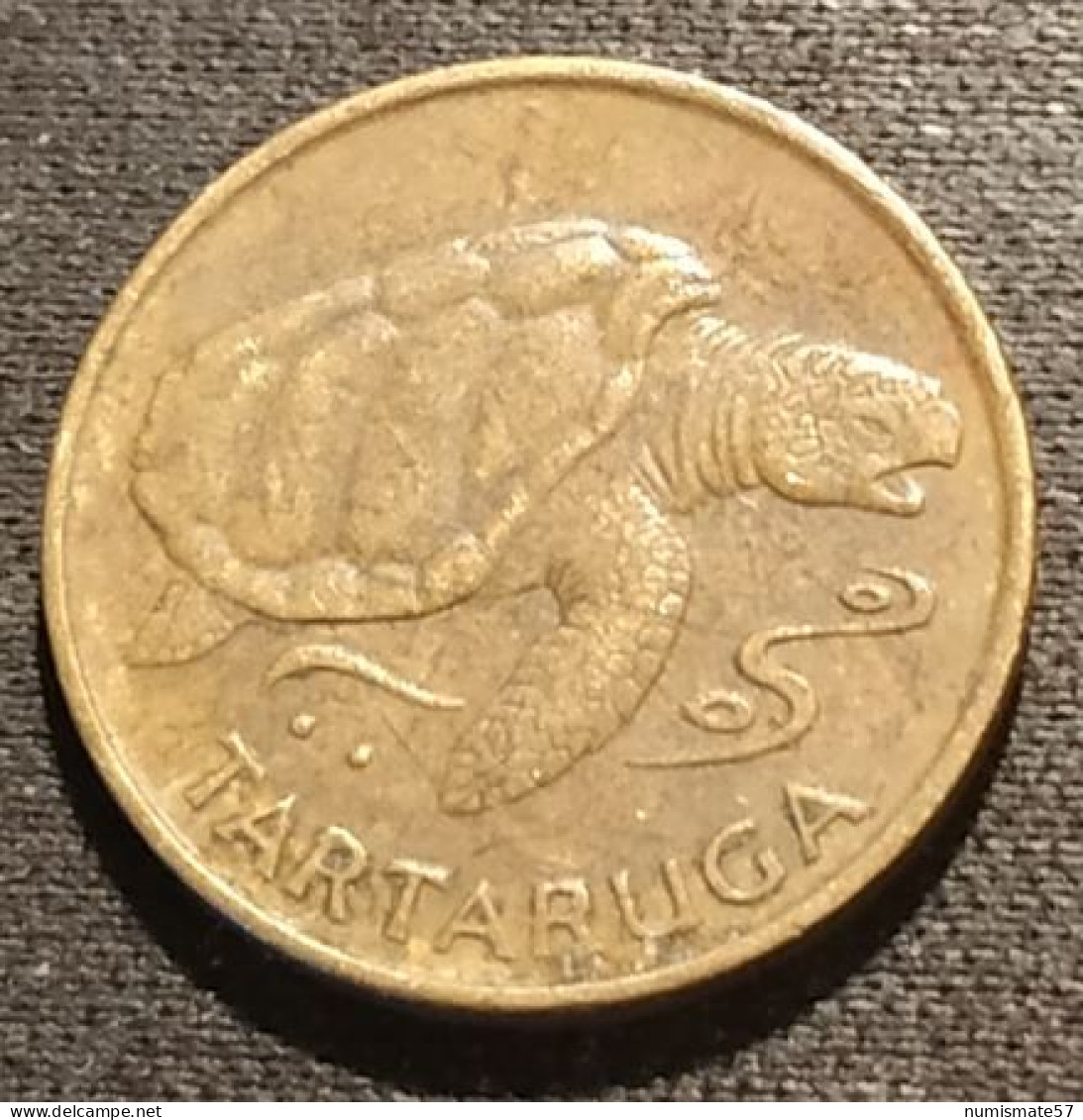 CAP VERT - CABO VERDE - 1 ESCUDO 1994 - KM 27 - TARTARUGA - Tortue - Turtle - Cap Verde