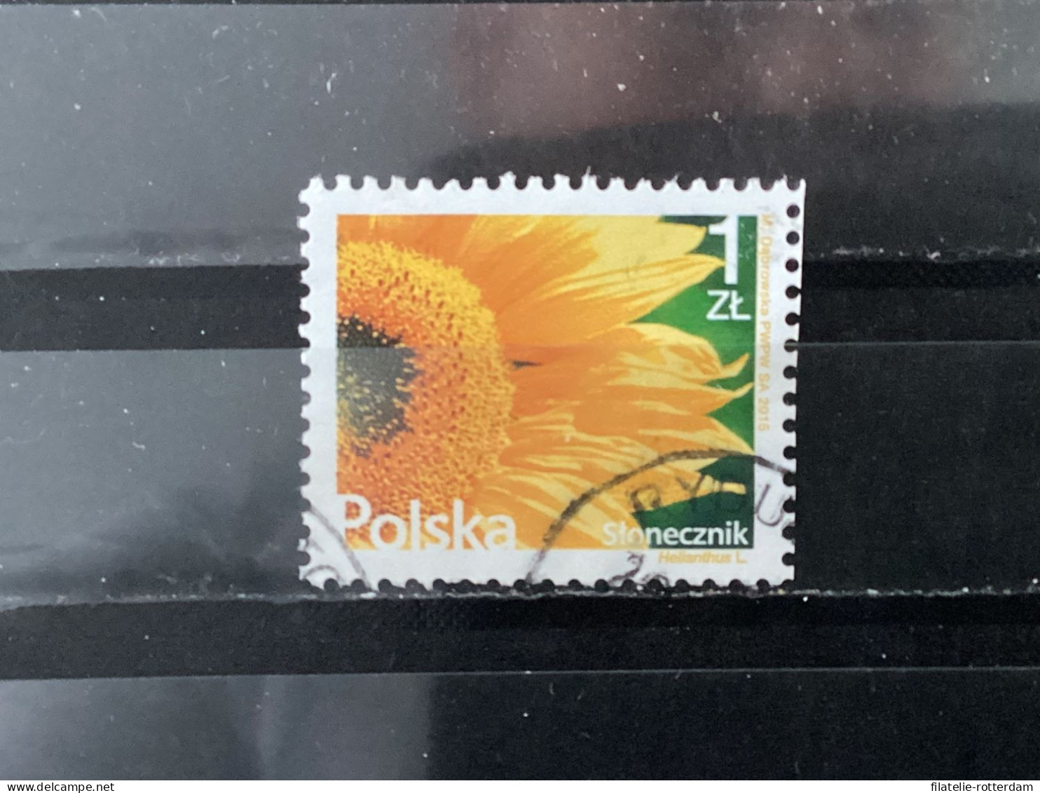 Polen / Poland - Bloemen (1) 2016 - Used Stamps