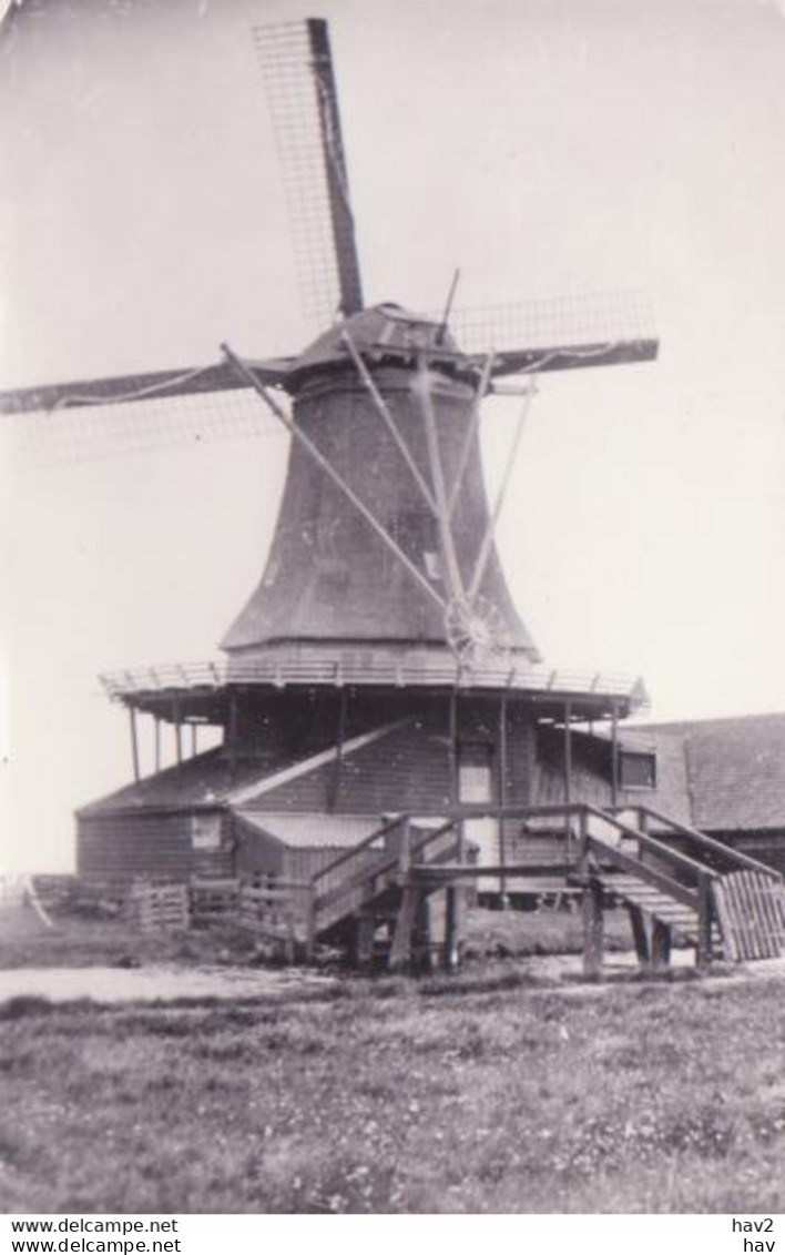 Westzaan De Jonge Dolfijn  Molen RY 3297 - Zaanstreek