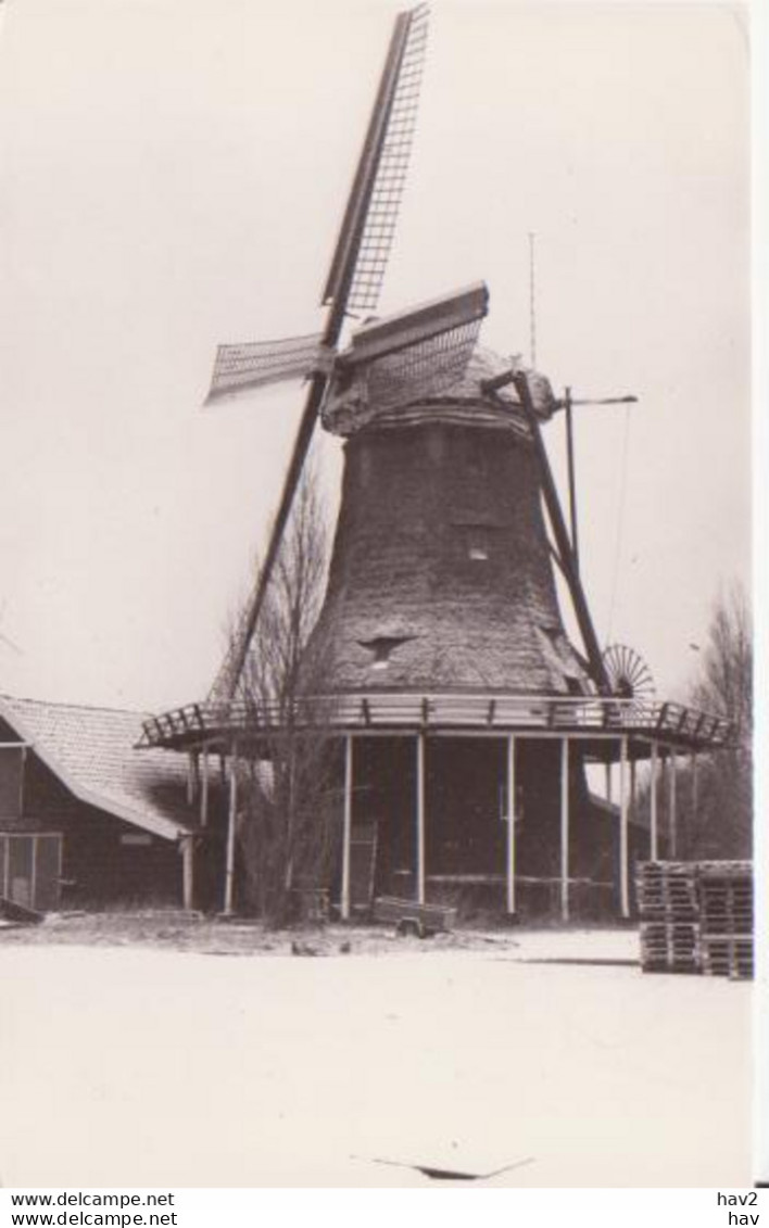 Zaanse Schans De Ooievaar Molen RY 3301 - Zaanstreek