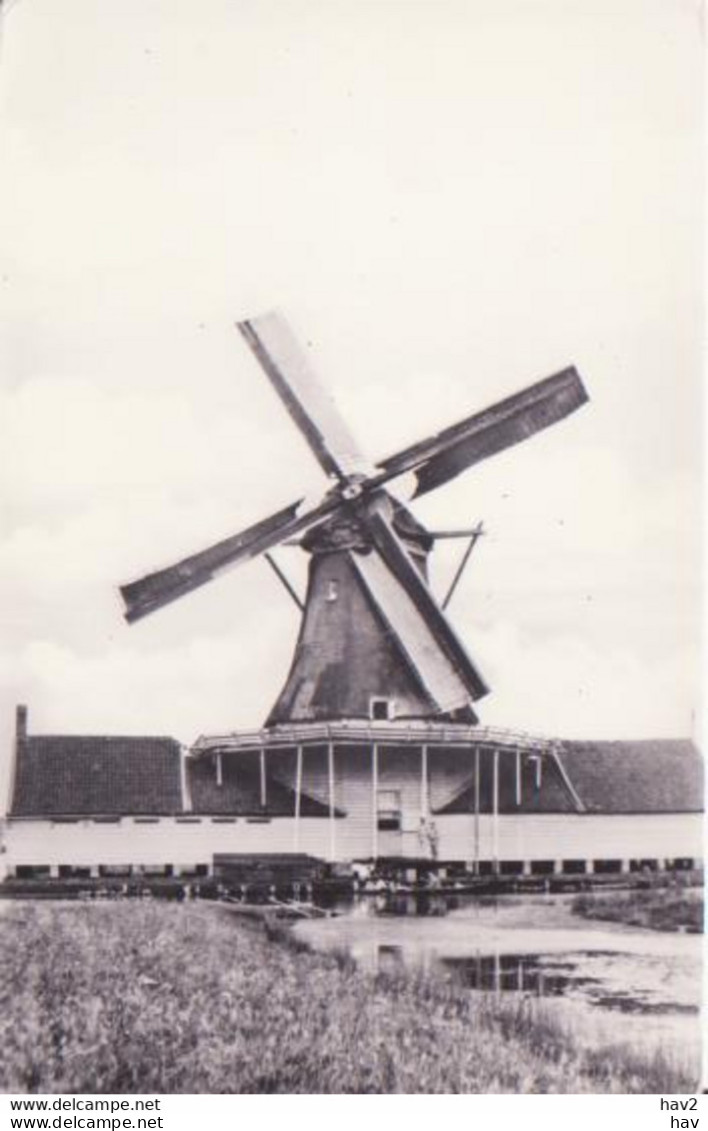 Koog A/d Zaan De Elzenboom Molen RY 3305 - Zaanstreek