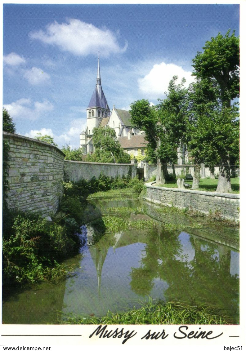 Mussy Sur Seine - L'étang Saint Pierre - Mussy-sur-Seine