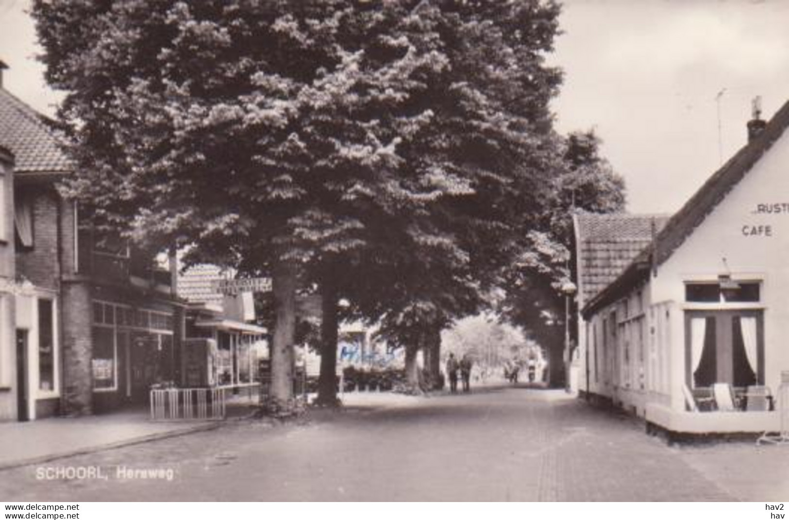 Schoorl  Hereweg RY 1384 - Schoorl
