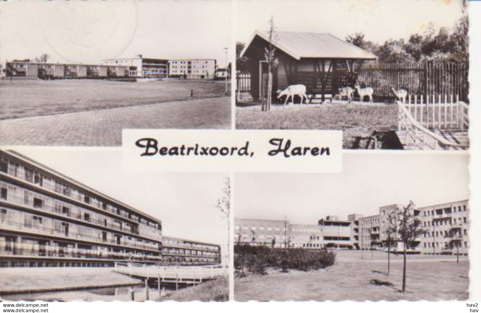 Haren (Gr) Beatrixoord RY 0790 - Haren