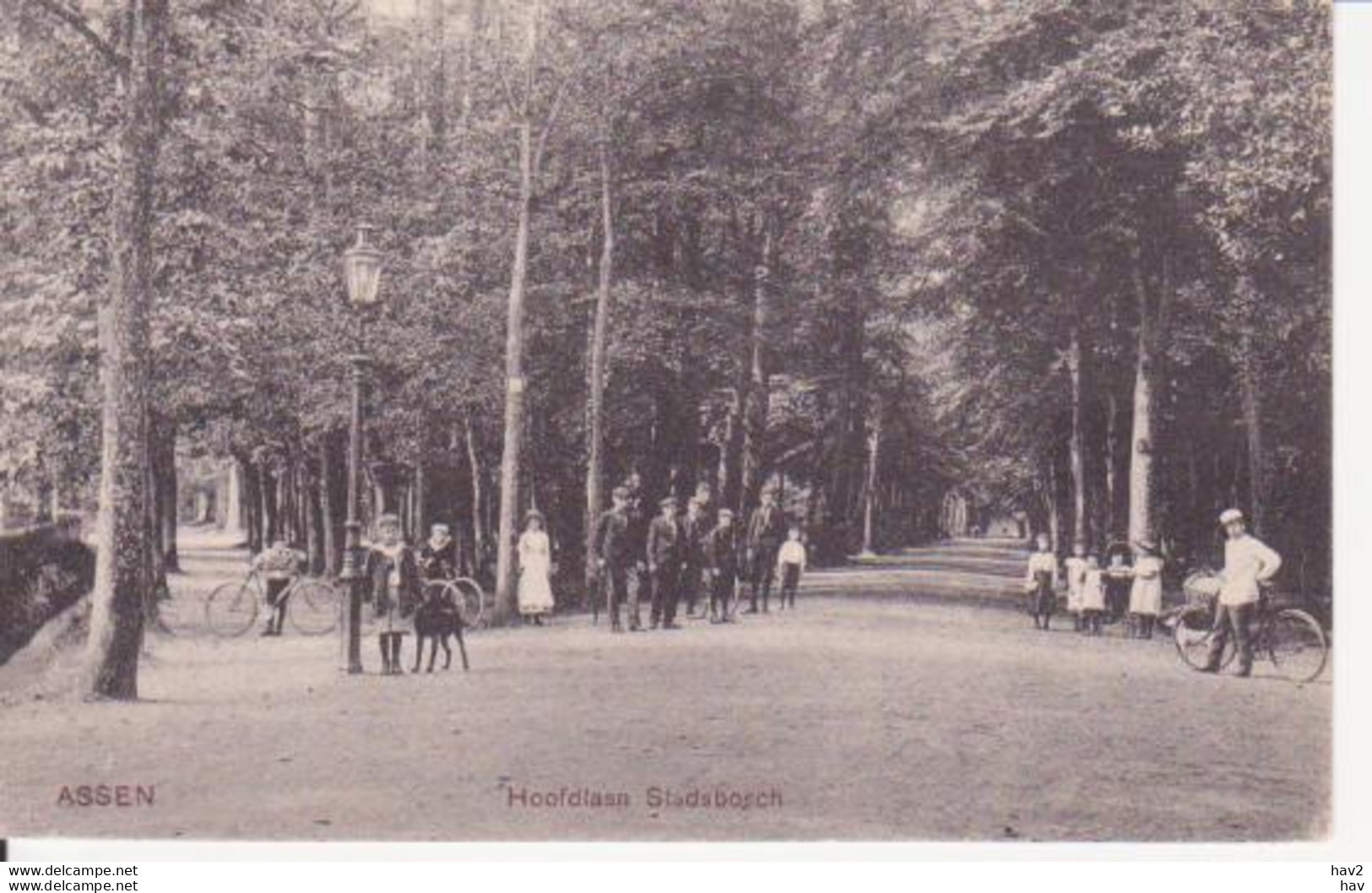 Assen Hoofdlaan Stadsbosch 1909 RY10431 - Assen