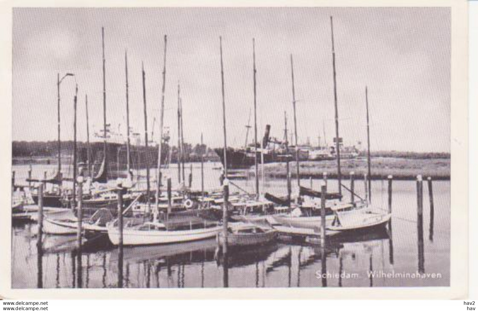 Schiedam Wilhelmina Haven 1961 RY11198 - Schiedam